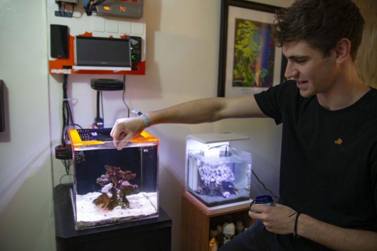 George Mavrakis reaches out toward a cube-shaped fish tank, dipping his fingers in the water,