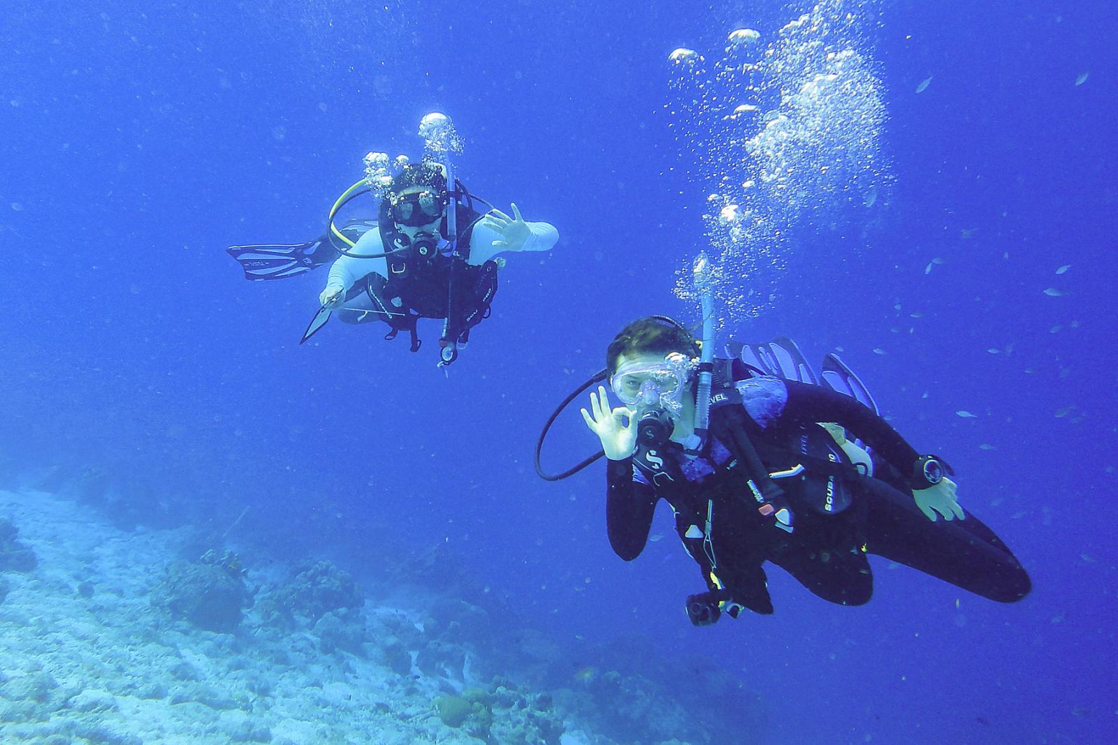 Students Anna Cardon and Felix Spaniol do a dive while gathering data in the waters off of Bonaire.
