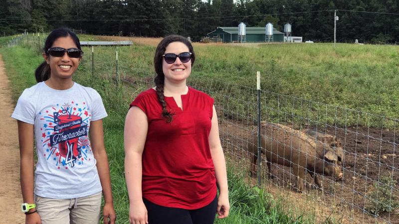 Students in a farm field next to a pig