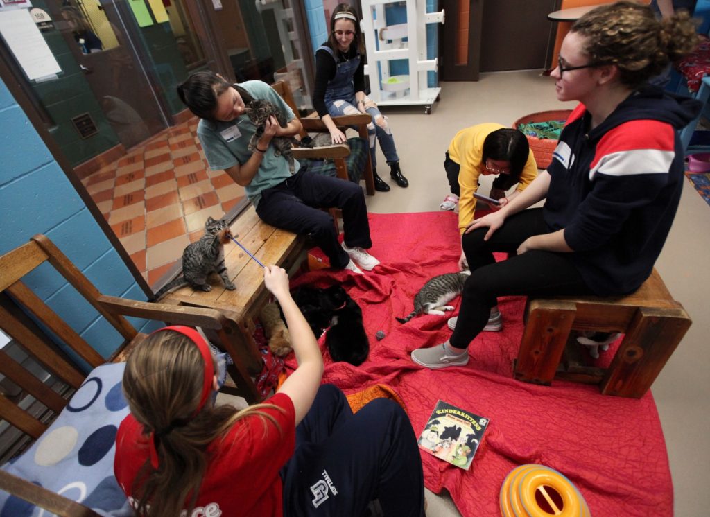 Lawrence students sit with cats at the Fox Valley Humane Association during the MLK Day of Service on Monday.
