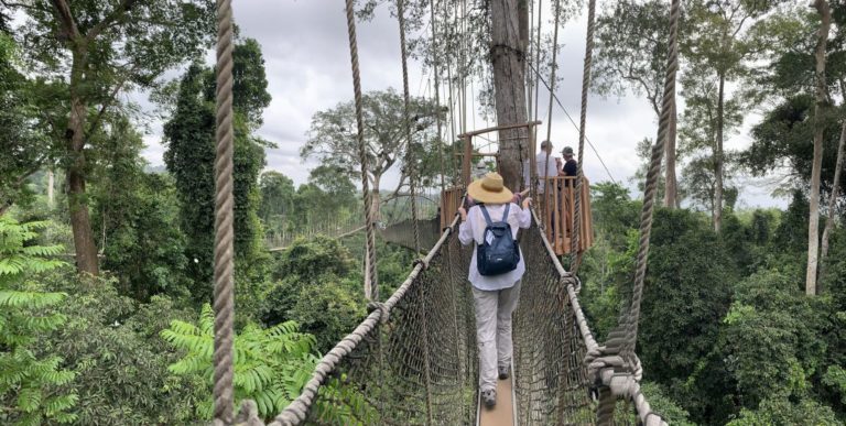 Rope bridges at Kakum National Park posed their own challenges.