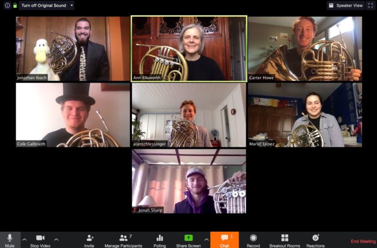 Physics faculty meet via Zoom