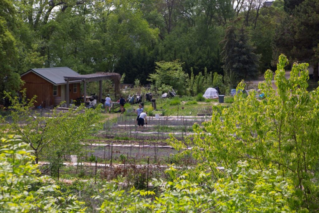 Students planting on the Lawrence University Student Garden (SLUG).  