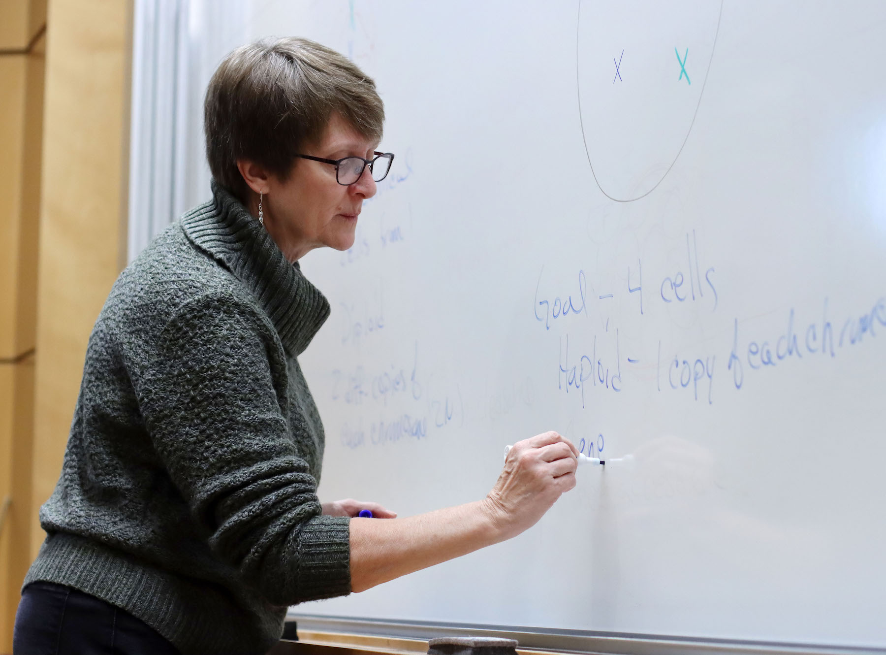 Elizabeth Ann De Stasio, the Raymond H. Herzog Professor of Science and professor of biology at Lawrence University