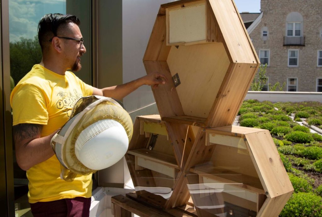 Professor Israel Del Toro checking the structure of a man made beehive 