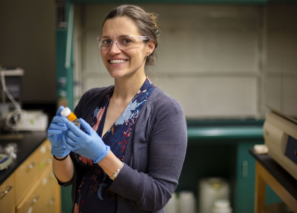 Allison Fleshman, associate professor of chemistry