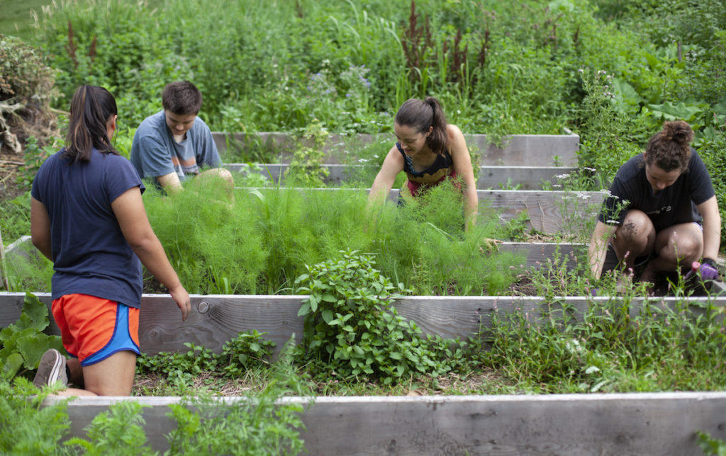 Students working on the SLUG garden