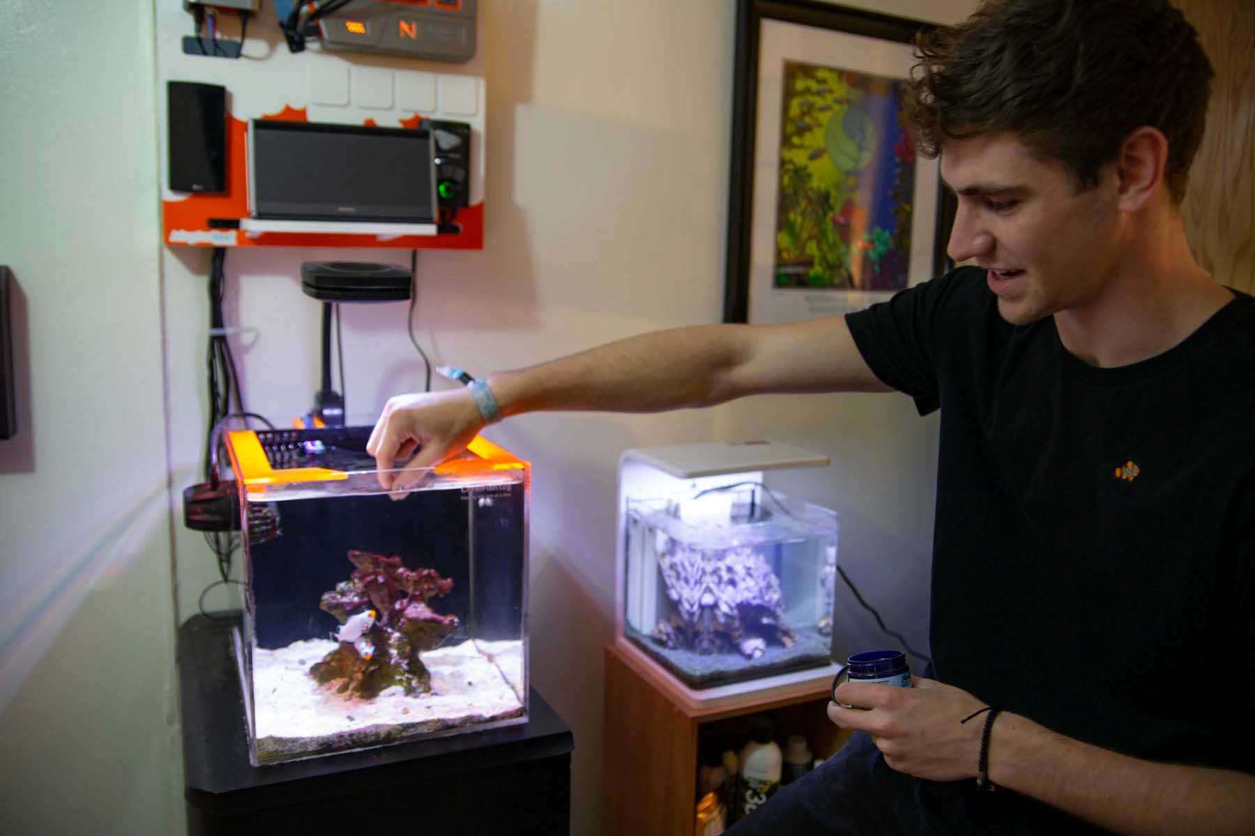 George Mavrakis feeds his fish in his Sage Hall room in spring of 2019.