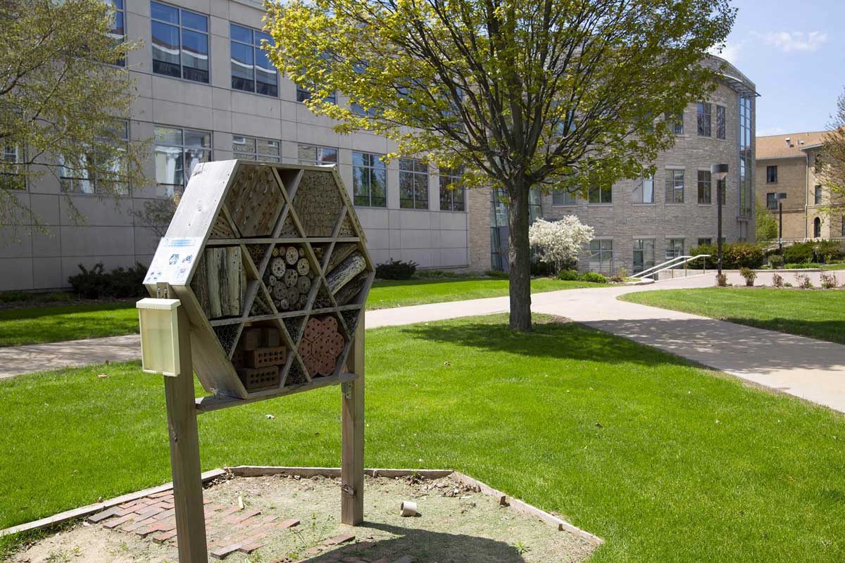 Pollination box on Main Hall Green near Youngchild Hall