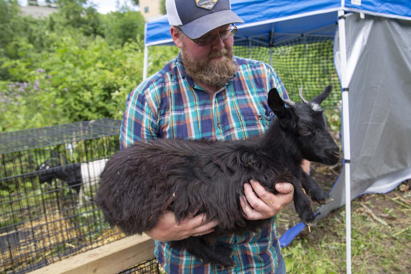 Man holding goat