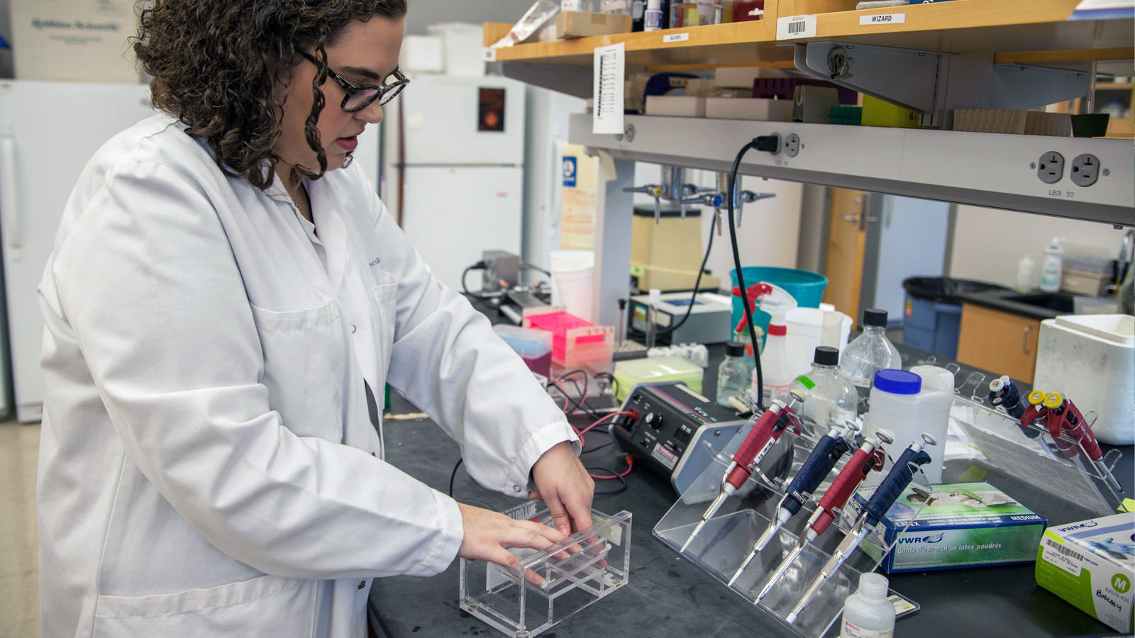 Student working in lab