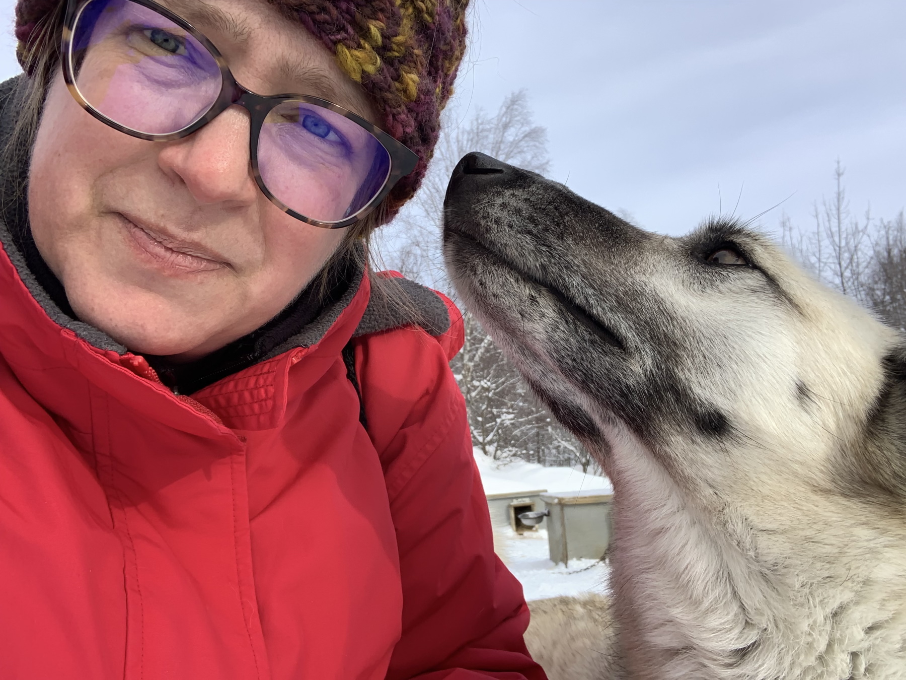 Kate Newmyer gets a kiss on the cheek from a sled dog.