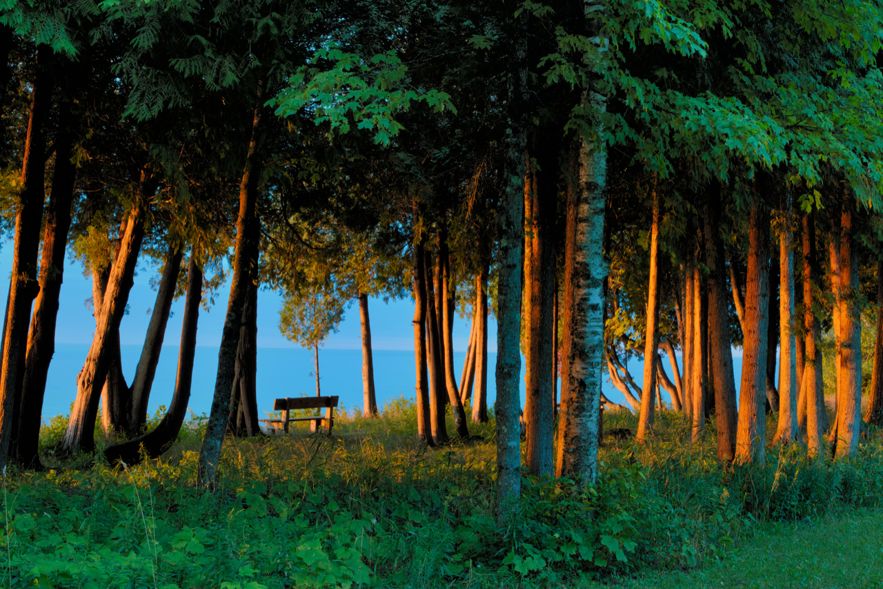 bench in the woods on the shore of Lake Michigan
