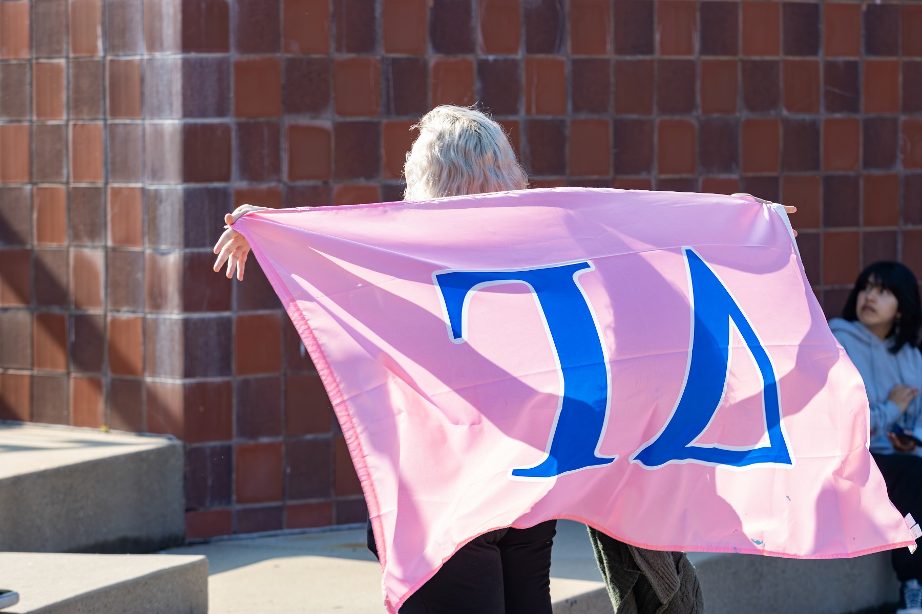 Greek orgs shows their colors with flags.