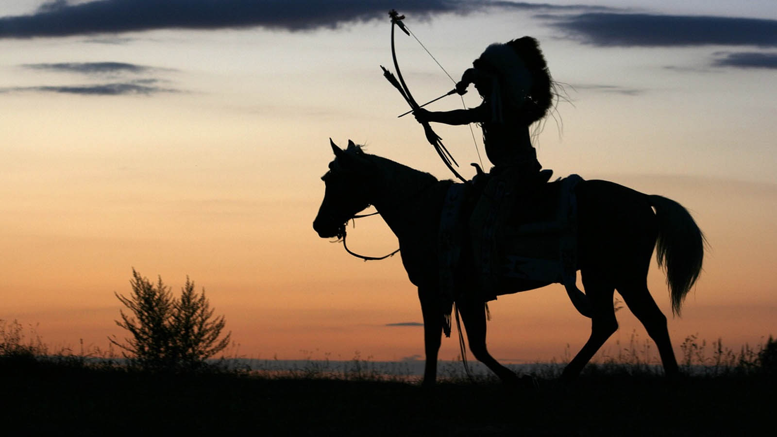 Cowboy on horse