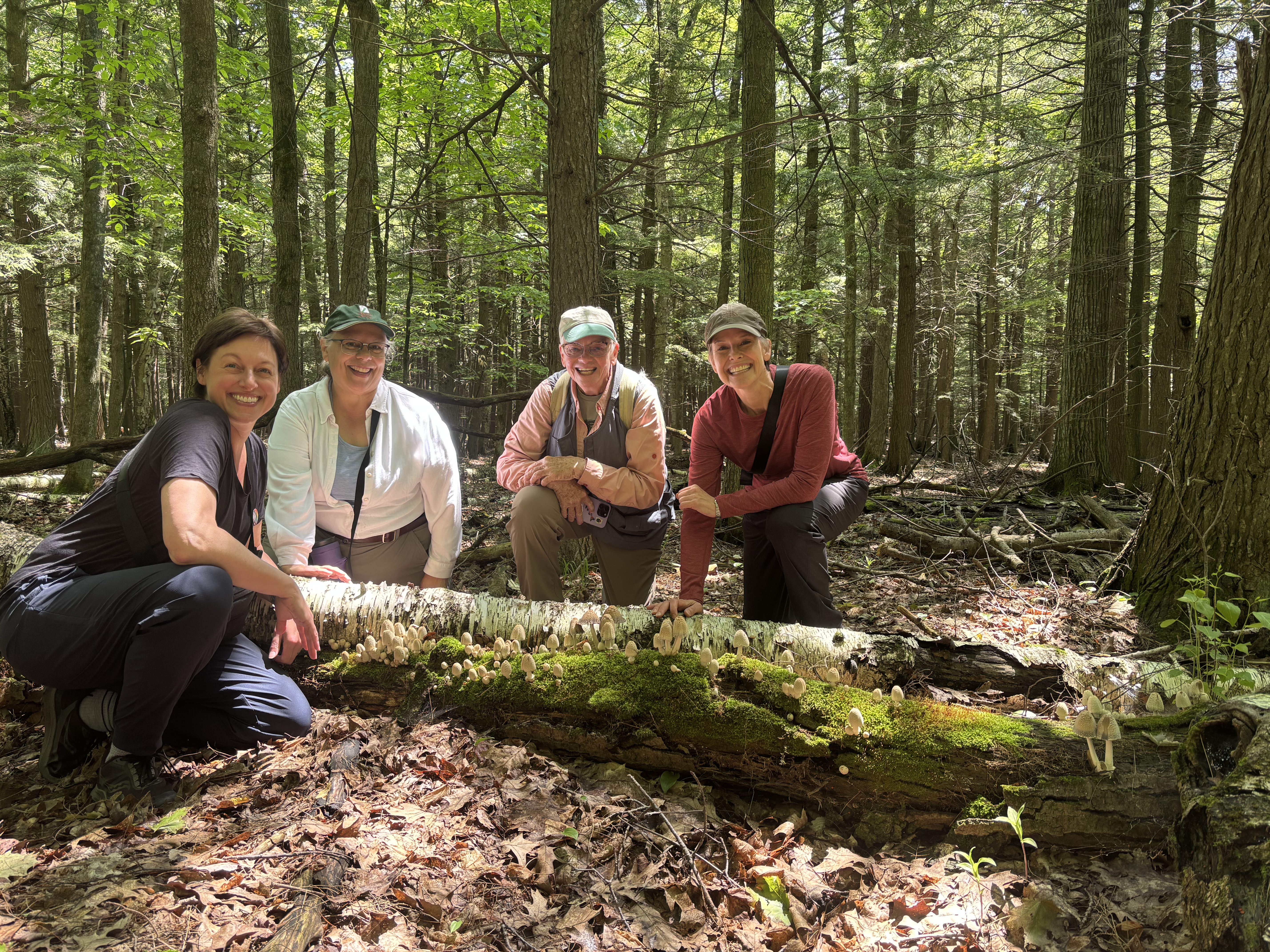 Seminar students appreciating forest mushrooms
