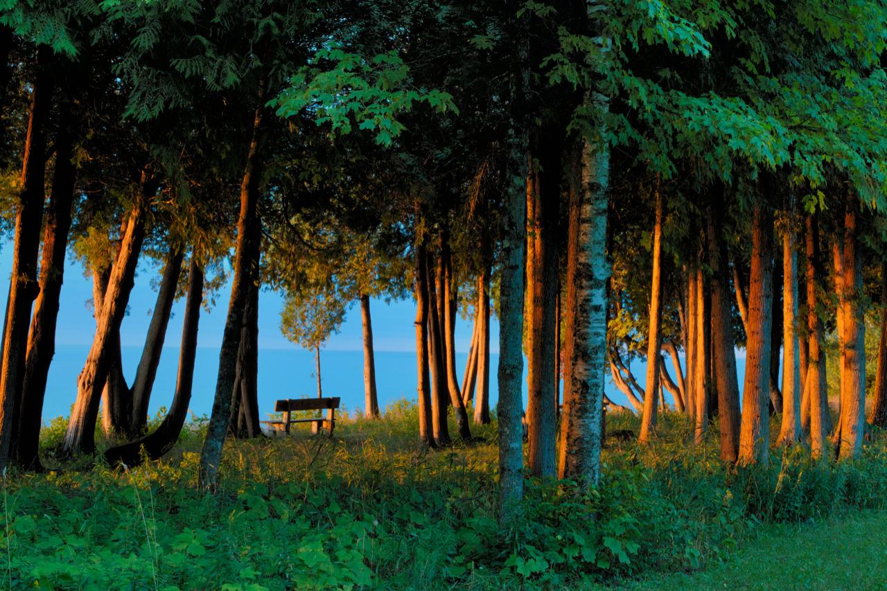 Bjorklunden beauty with empty bench overlooking Lake Michigan by Rob Kopecky