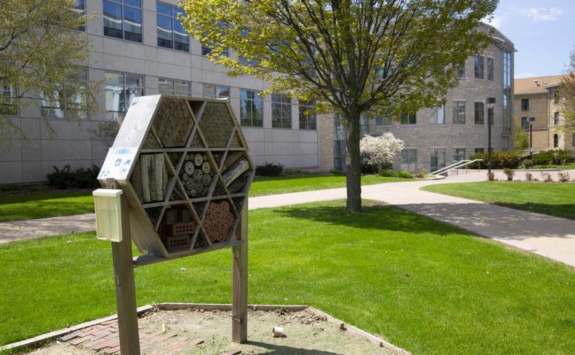 LU’s Bee Campus designation