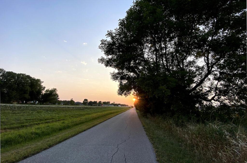 ce trail during sunset; big tree on the left 