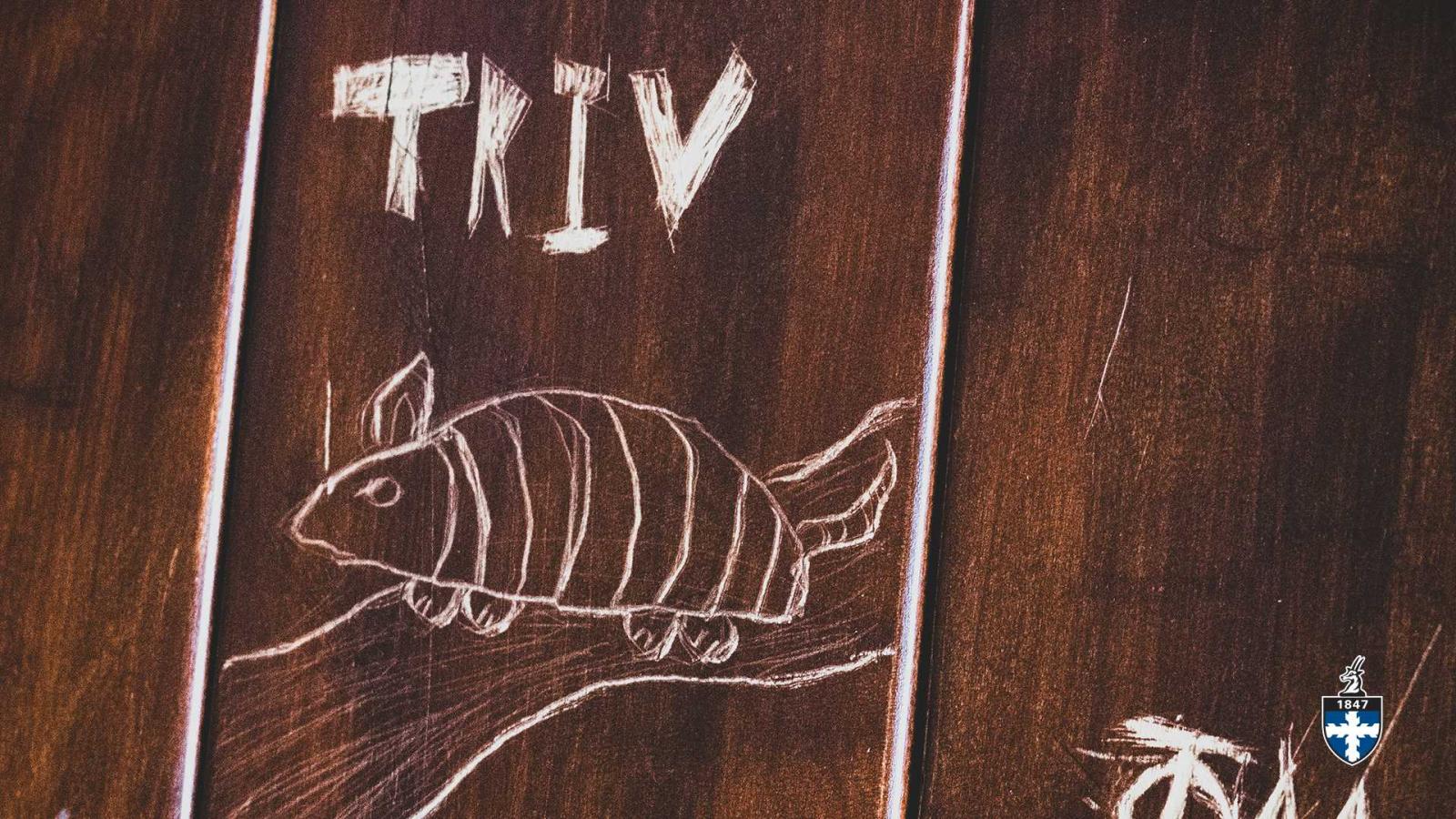 Drawing of armadillo with text "TKIV" over it carved into wood panel.