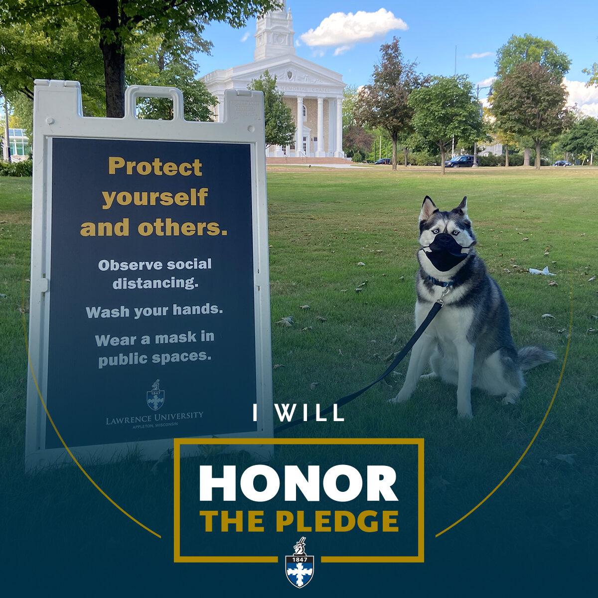 Sign that says "Protect yourself and others. Observe social distancing. Washing your hands. Wear a mask in public spaces." With a husky dog in a mask sitting on a lawn with Memorial Chapel in the background. Text that says "I will honor the pledge." is in the foreground.