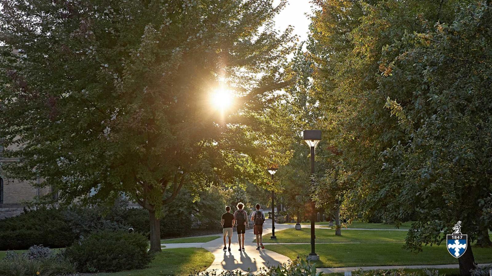 Afternoon sunlight through trees as three students walk down path on Main Hall Green.