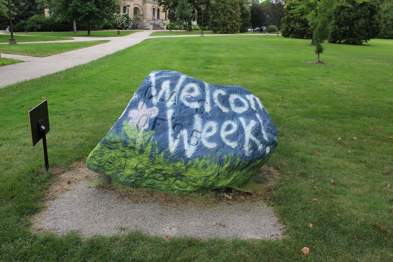 Rock painted with the words Welcome Week