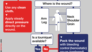 Part of Save a Life Flowchart