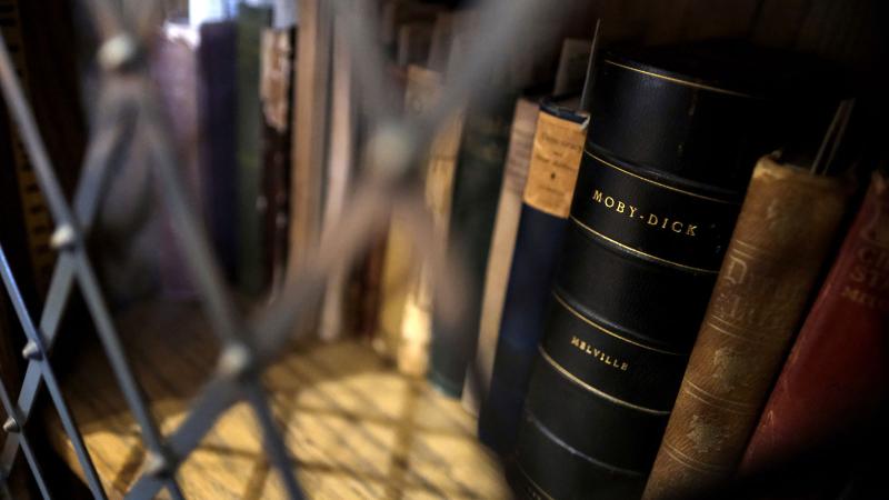 Books on display