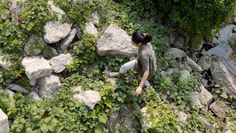 Student walks up a rocky creek bed for summer research