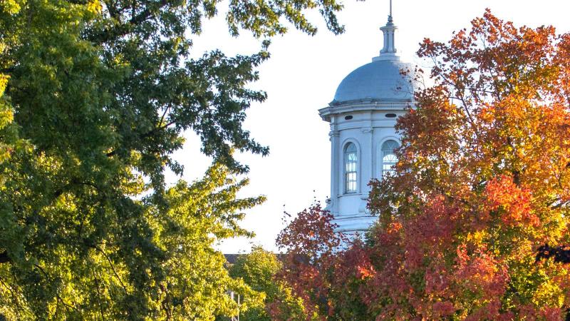 Main Hall cupola surrounded by autumn leaves