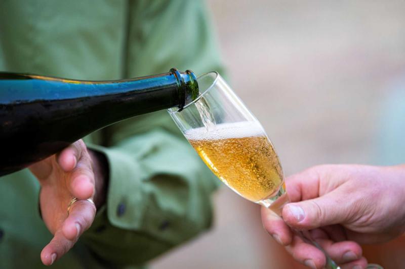 A sparkling wine is poured into a glass. 