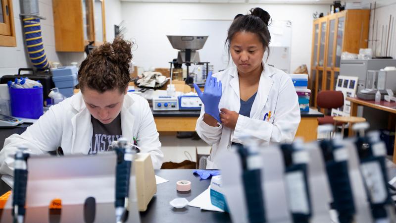 Two students conducting lab work