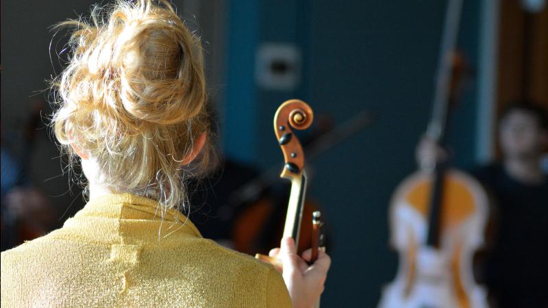 Back of violinist in foreground with ensemble string players in background