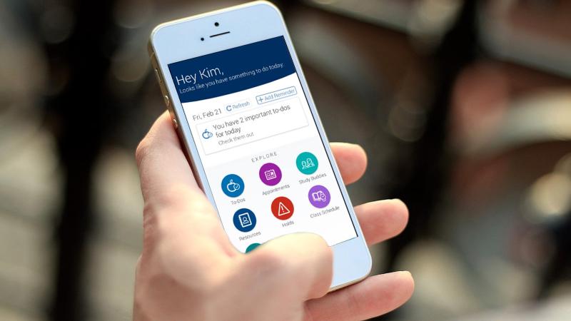 Navigate Student app on mobile phone