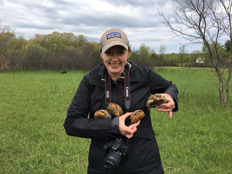 Caitlin Williamson holds four turtles while doing field work.