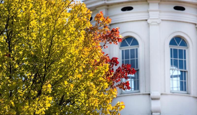 main hall cupola with a fall tree