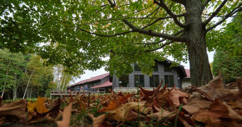 looking at lodge from ground level past autumn leaves
