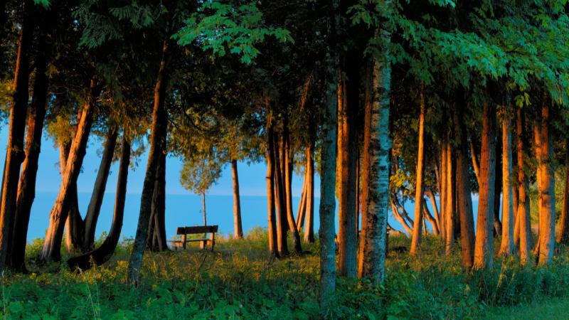Bjorklunden beauty with empty bench overlooking Lake Michigan by Rob Kopecky