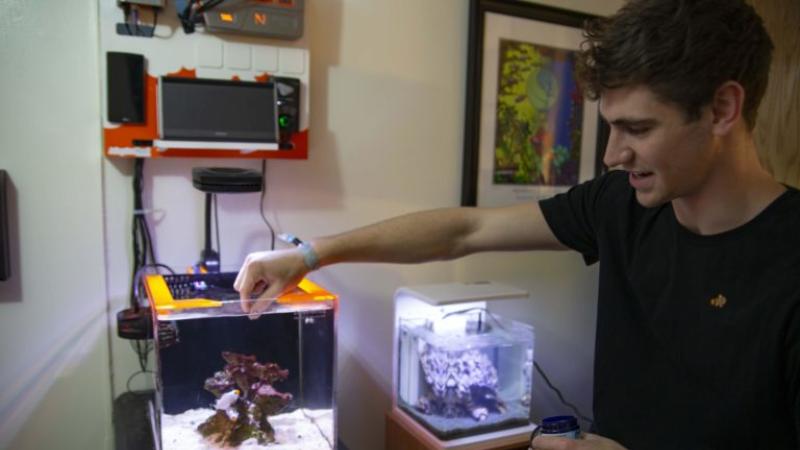George Mavrakis reaches out toward a cube-shaped fish tank, dipping his fingers in the water,