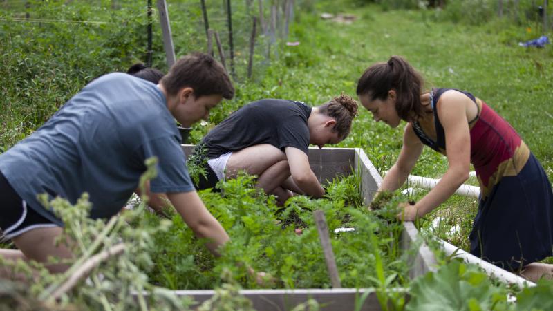 Gillian Buckardt ’22, Ella Lemley-Fry ‘23, Katie Mahorney ’22 and Relena Ribbons, Assistant Professor of Geosciences, weed SLUG as part of their summer research Tuesday, July 13, 2021.