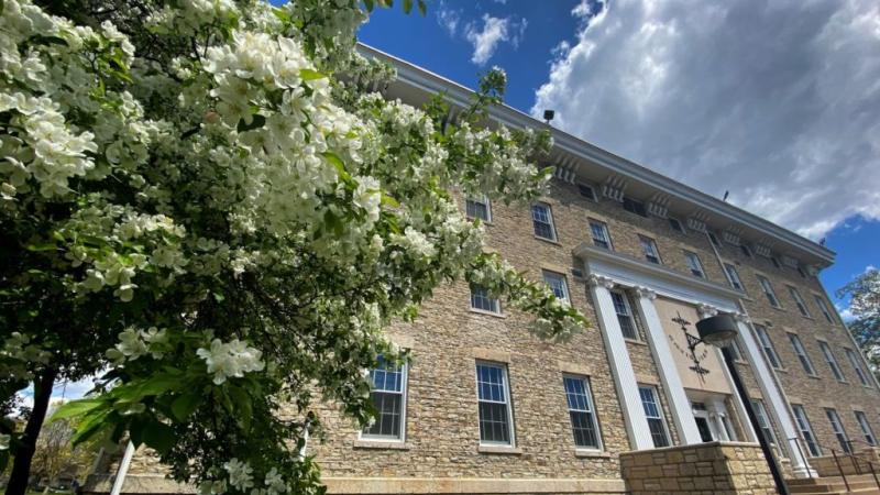 Main Hall with a tree full of white flowers next to the it