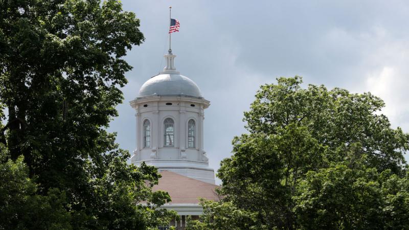 Main Hall's cupola surrounded by trees