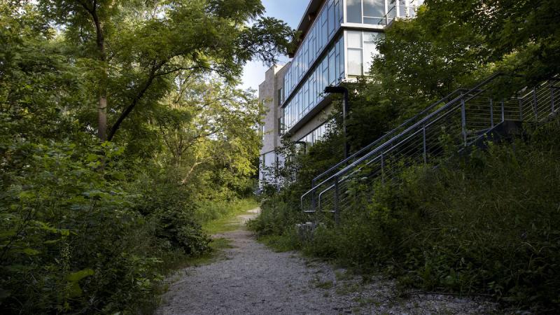 Trail full of green trees and the back of Warch Campus Center 