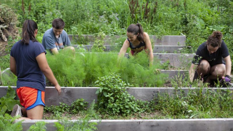 Students working on the SLUG garden