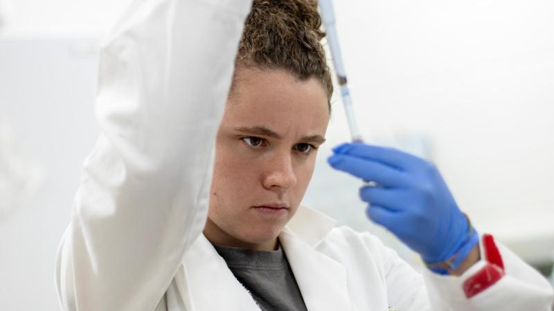 Student works with soil samples for summer research