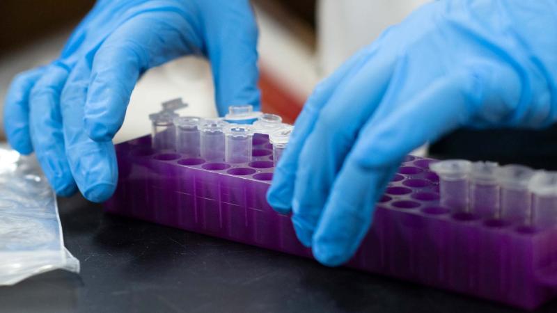 Close up photo of vials and rubber gloves in a lab