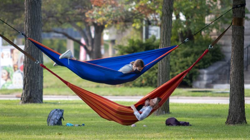 students lay in hammocks on Main Hall Green 