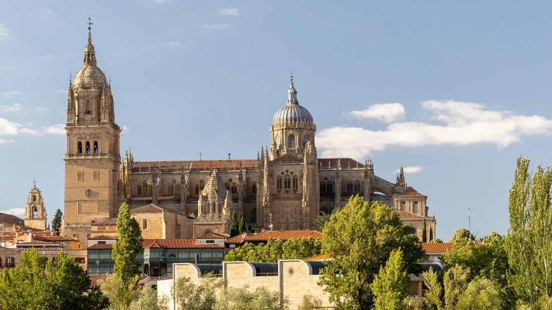 View of New Cathedral in Salamanca in Spain from across a pond 