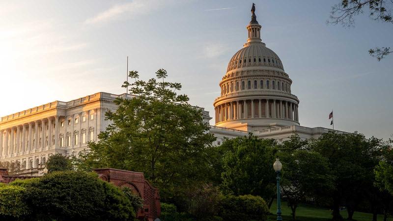 Capitol Hill building from Capital Hill park in Washington, DC, USA